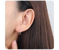 Silver Plain Earring HO-1746